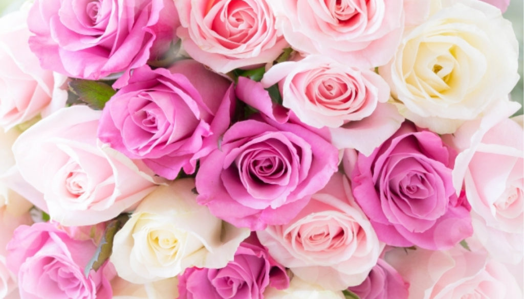 香り系統で選ぶ(フローラル寄り/ウッディ寄り/グルマン寄り)