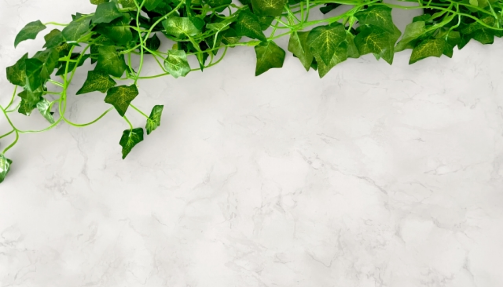 清潔感を最優先するなら(イメージで決める)