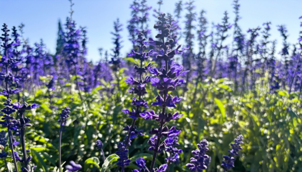 ホワイトムスクは“扱いやすさ”より「選び方」で差が出る!