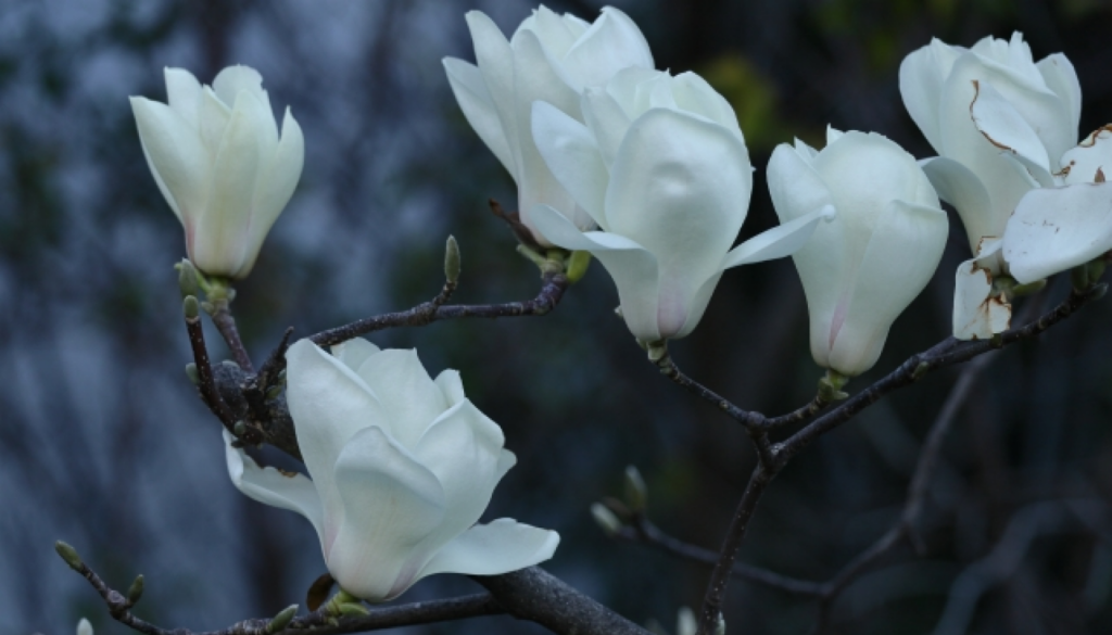 高品質な原料と独創的な香りづくり