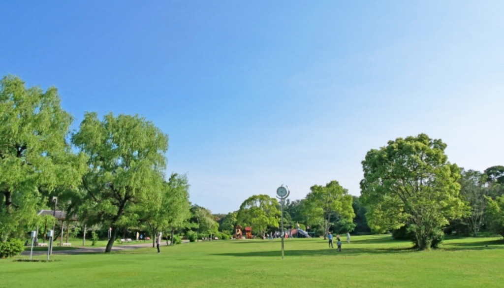 ミドルノート:グリーンでナチュラルな香り