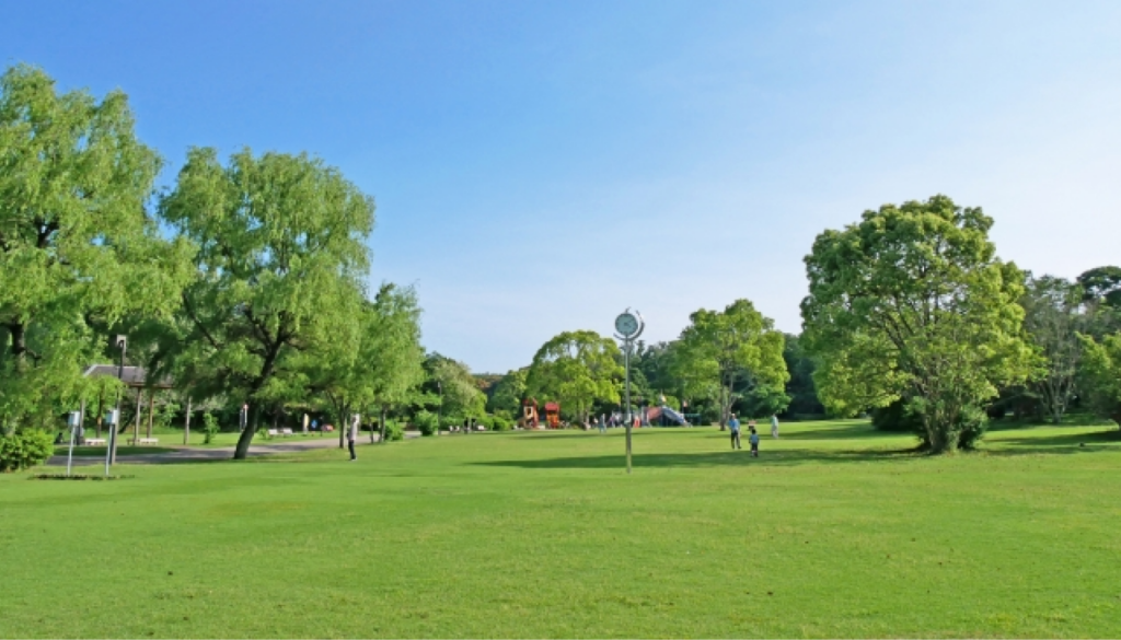 木・グリーン・自然の奥行きが好き