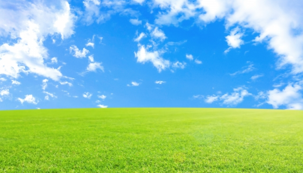 クリーンさだけで終わらないのがアナザー13らしさ