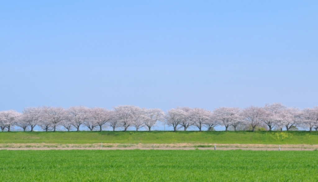 季節によっても心地よい場所は少し変わる
