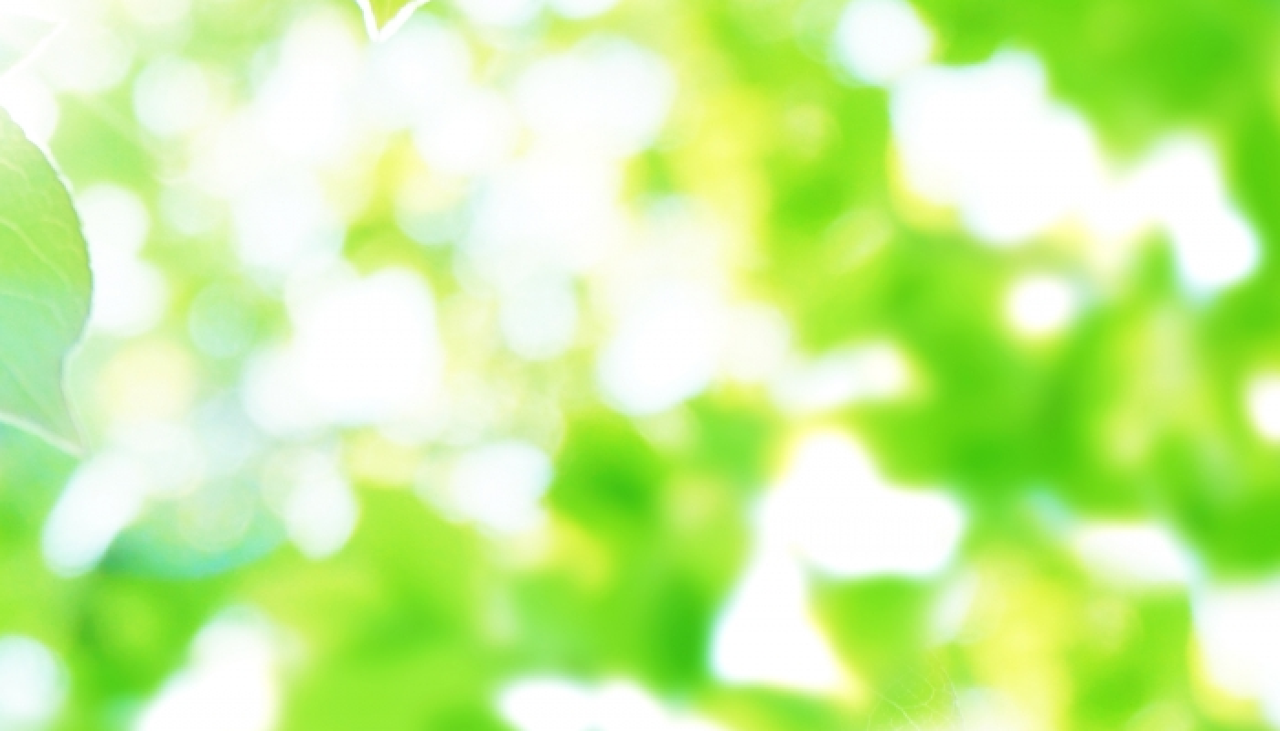 直射日光を避けて保存しよう