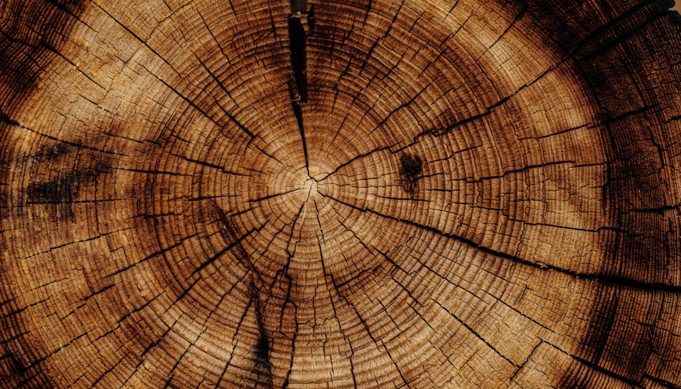 ウッディ系の香りと組み合わ合わせて清潔感アップ↗