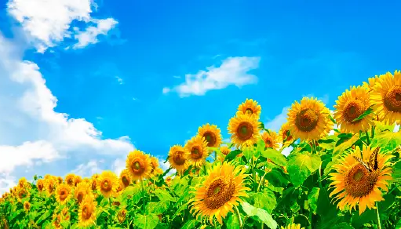 夏ならでは！ボディクリームの楽しみ方