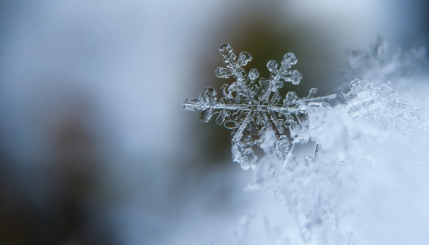 雪と白い花々をイメージした香水