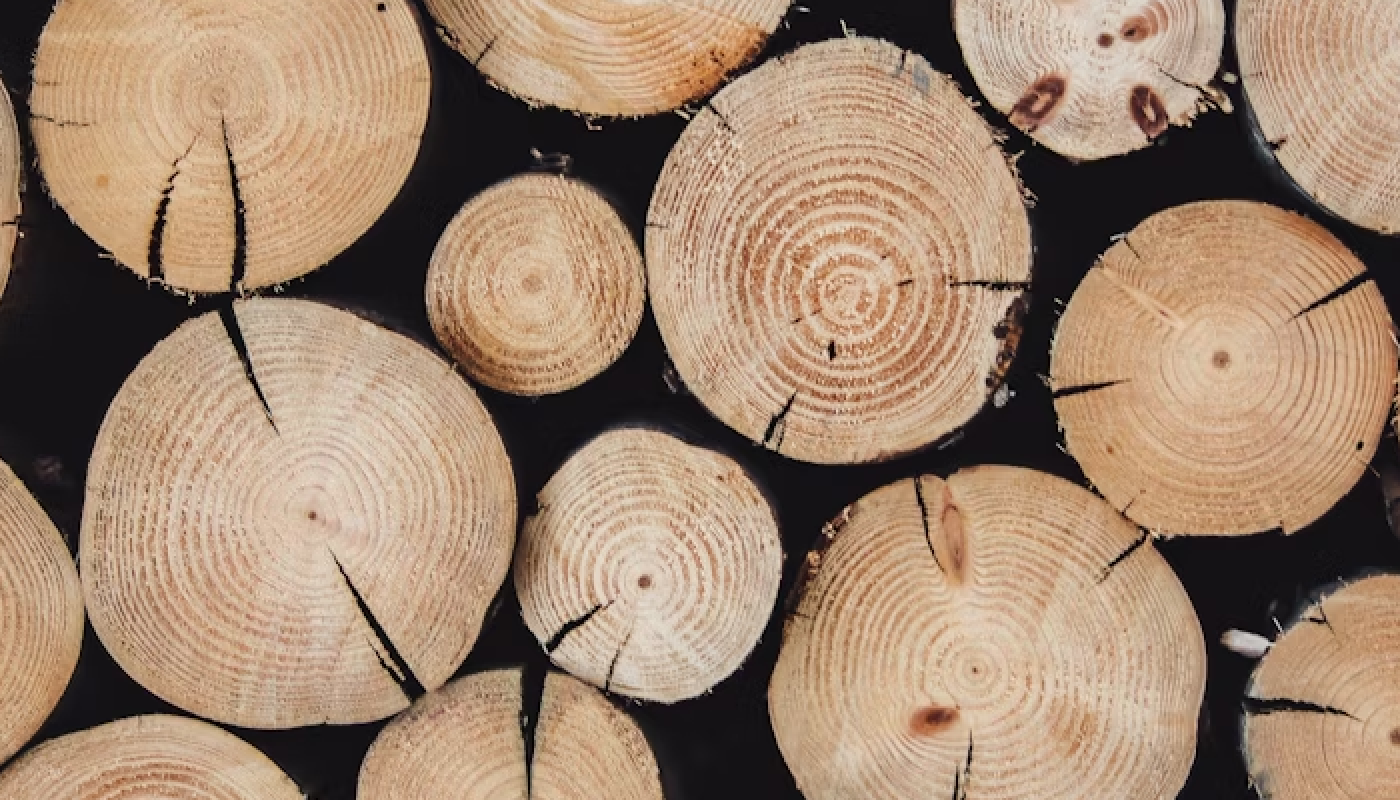 白檀（ビャクダン）とは？