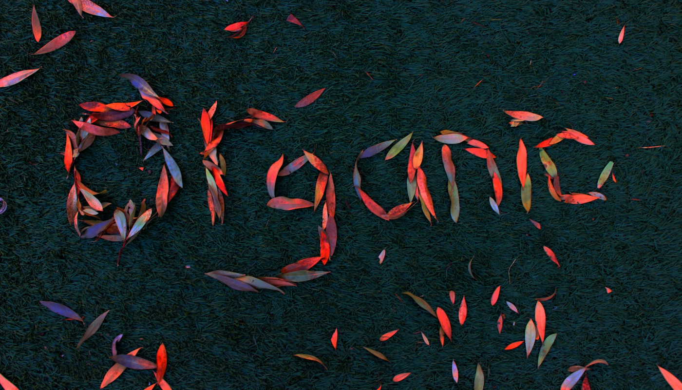 オーガニック認証とは？