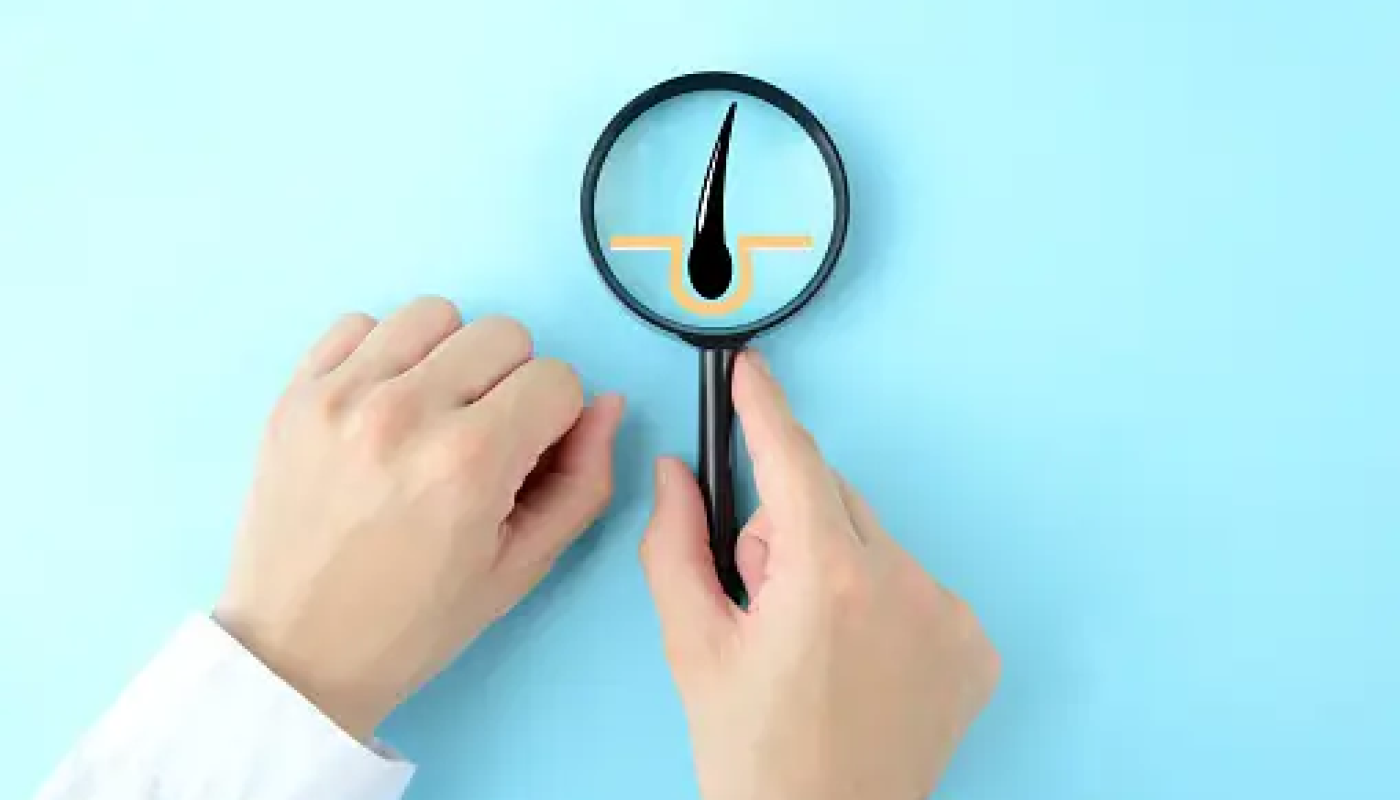 シャンプーに何を求める？