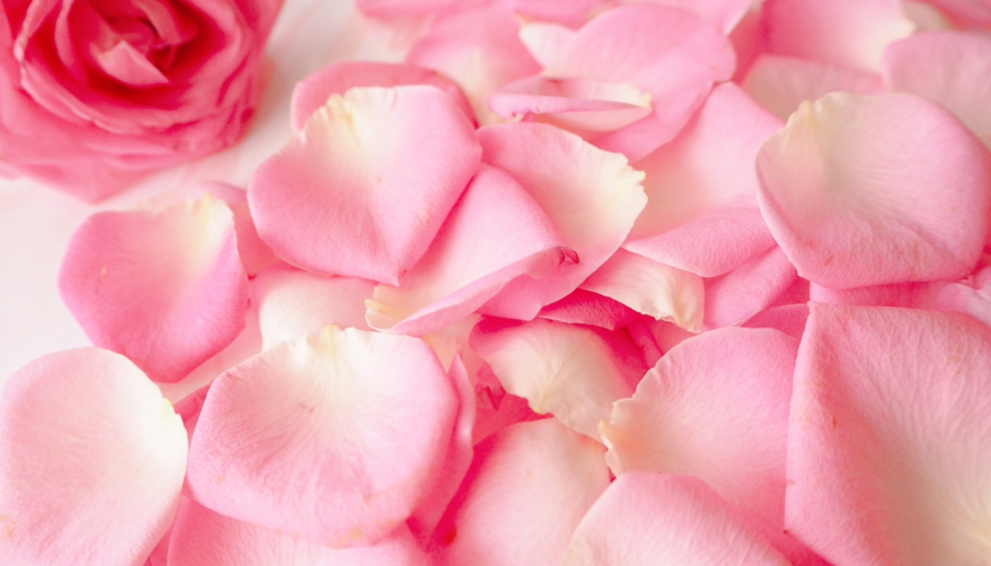 華やかな香りが好きなら→フローラル系