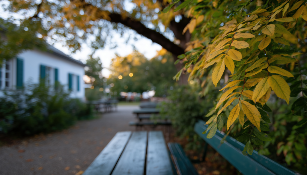やわらかく落ち着いた空気をまといたいとき