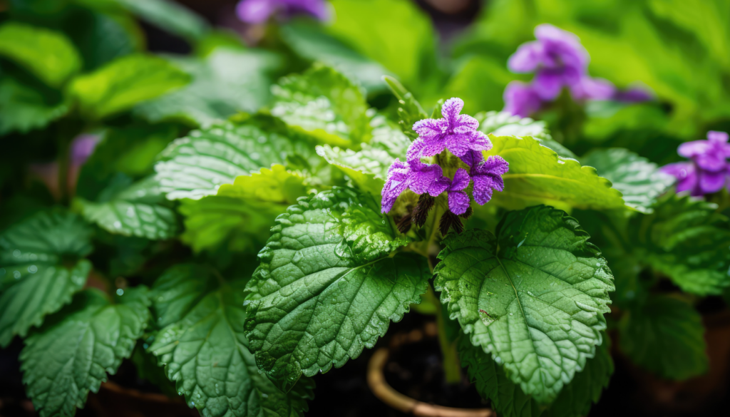 深みのある香りに惹かれるとき