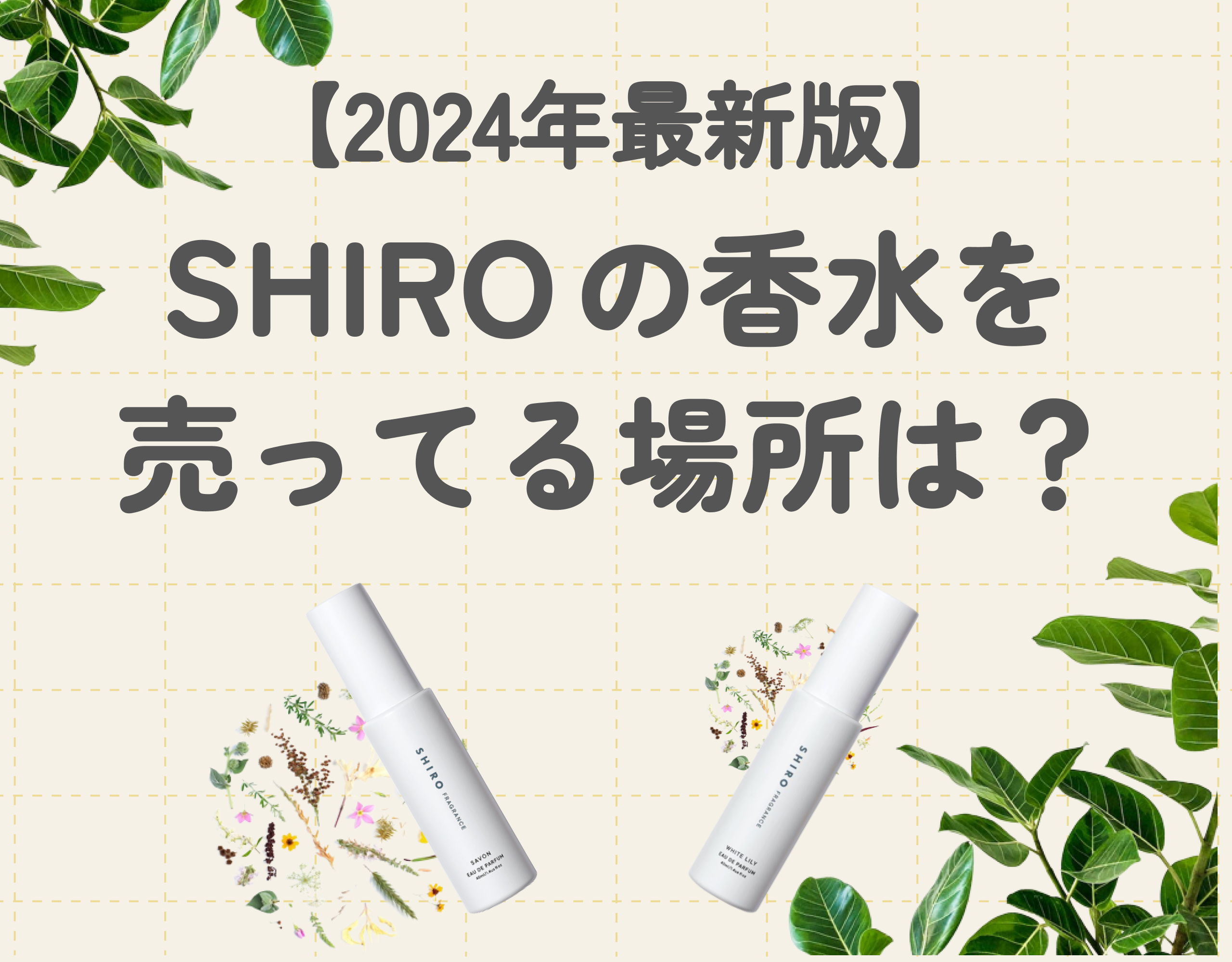 SHIROの香水を売ってる場所は？全国の取扱店やオンラインショップまで一挙ご紹介【2024年最新版】