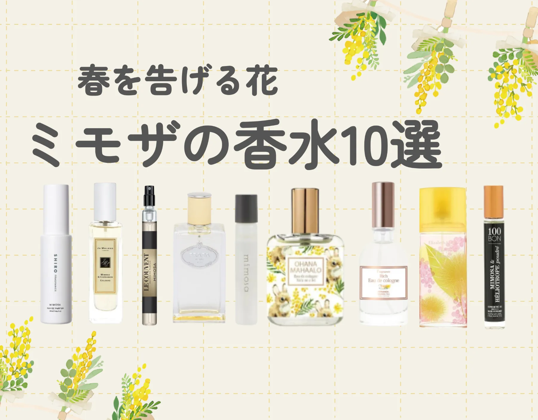 鮮やかで可憐な「ミモザ」の香水10選｜春を告げる太陽の花の香りとは？