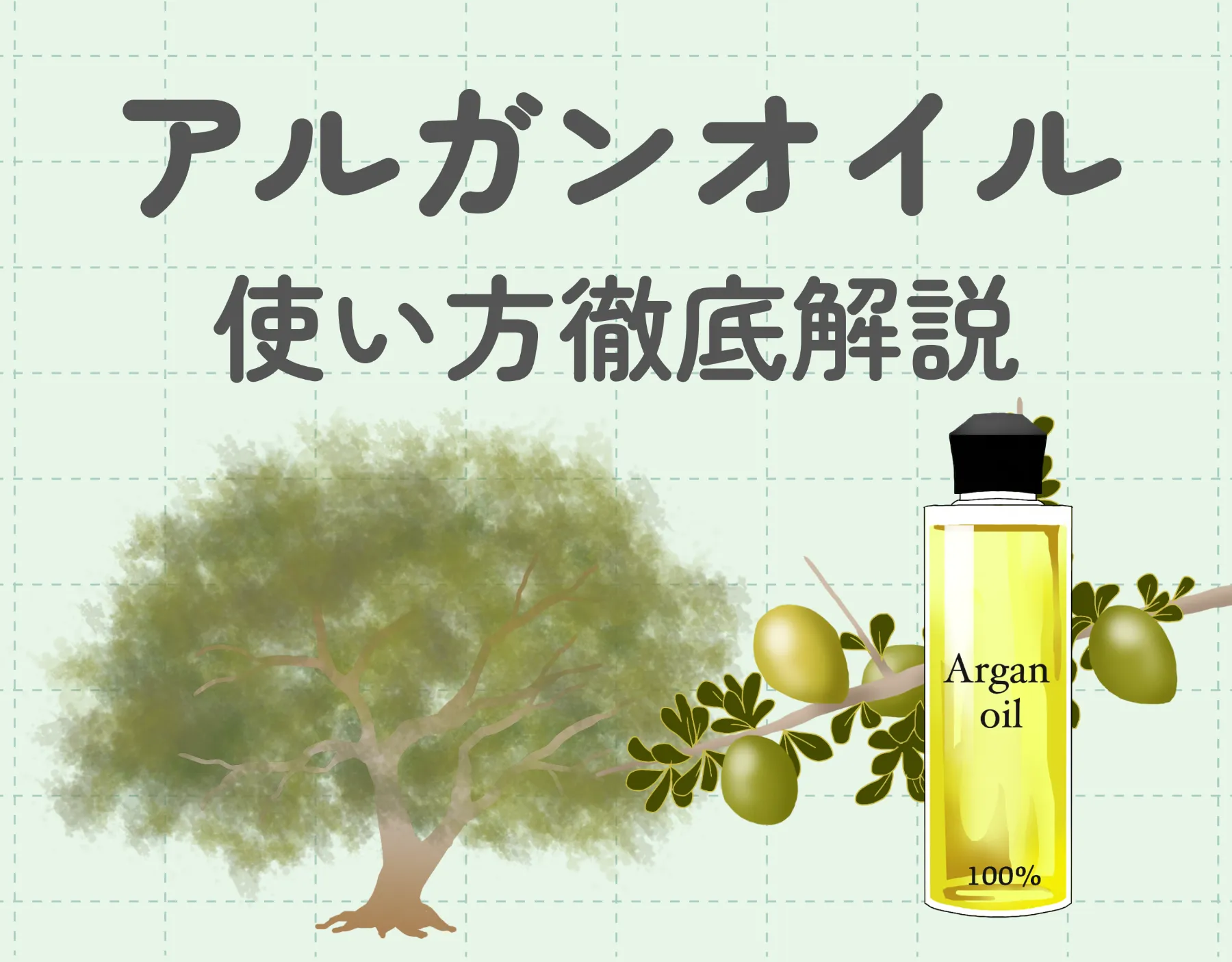 アルガンオイルの使い方徹底解説｜希少な万能オイルを有効活用しよう！