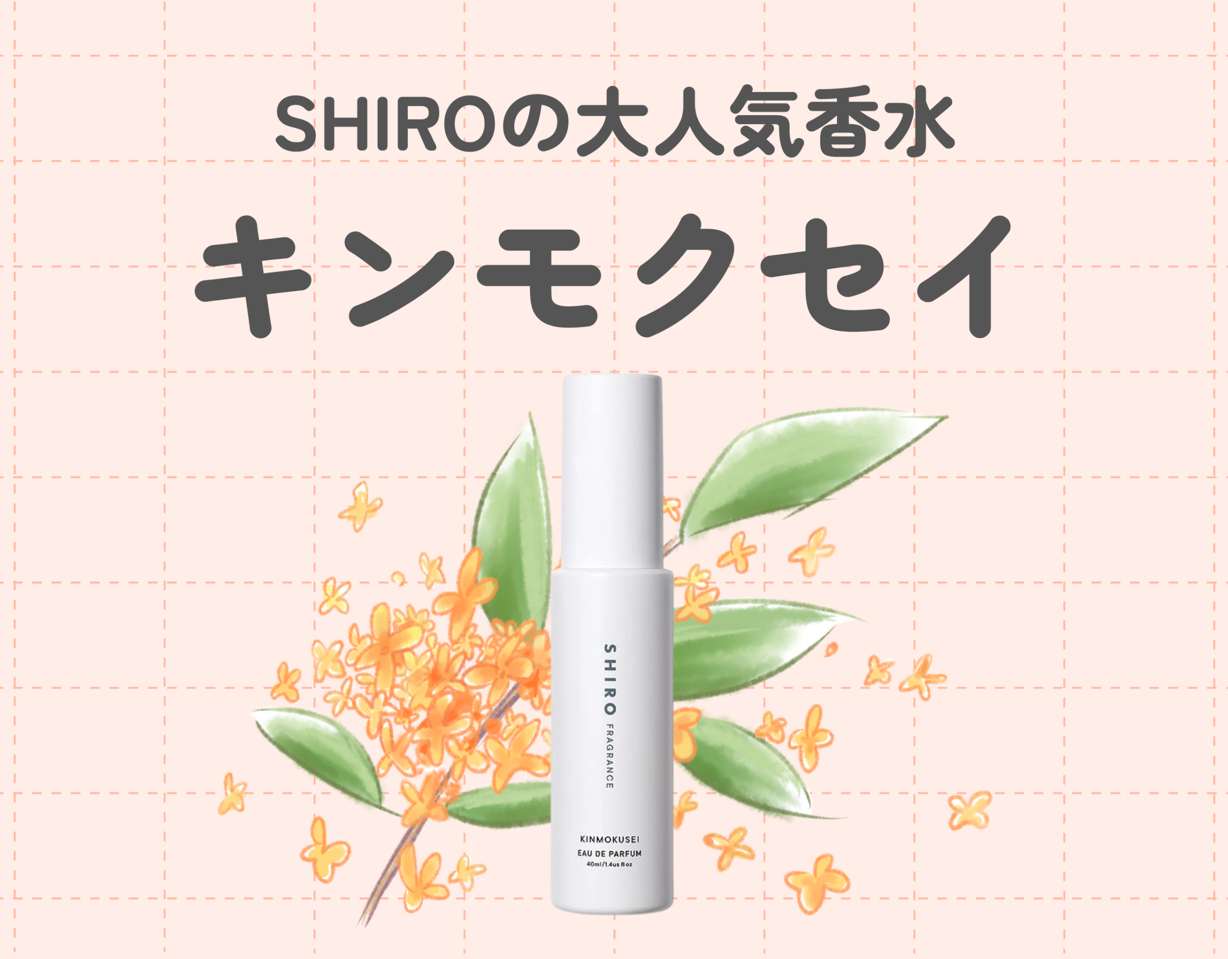 SHIROの大人気香水「キンモクセイ」の香りを徹底解説！