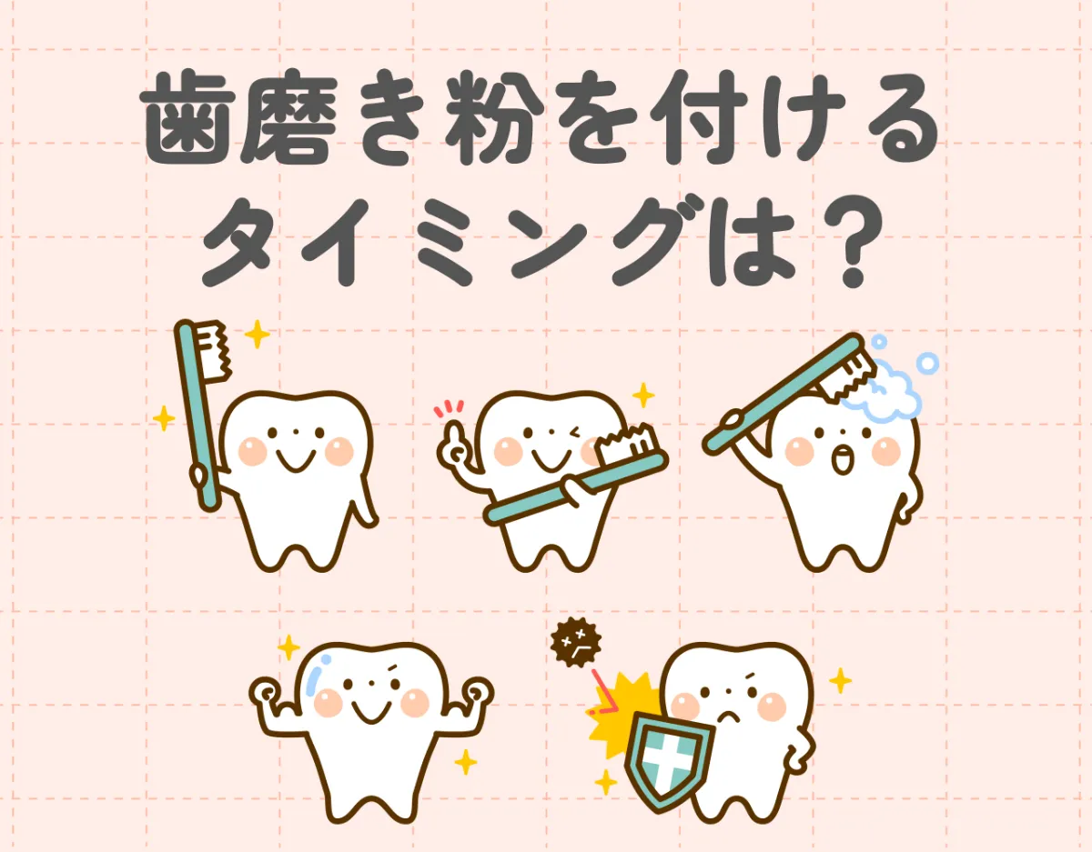 歯磨き粉を付けるタイミングは？正しい歯磨きのタイミングとおすすめ歯磨き粉をご紹介♪