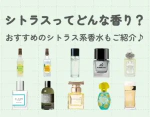 「シトラス」ってどんな香り？おすすめのシトラス系香水も併せてご紹介♪