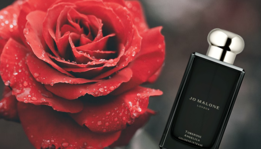 ジョーマローンの「チューベローズ アンジェリカ」を愛用している芸能人