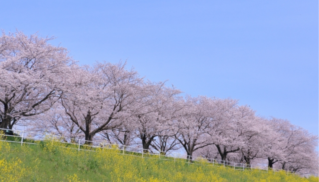 シーンと季節のイメージ