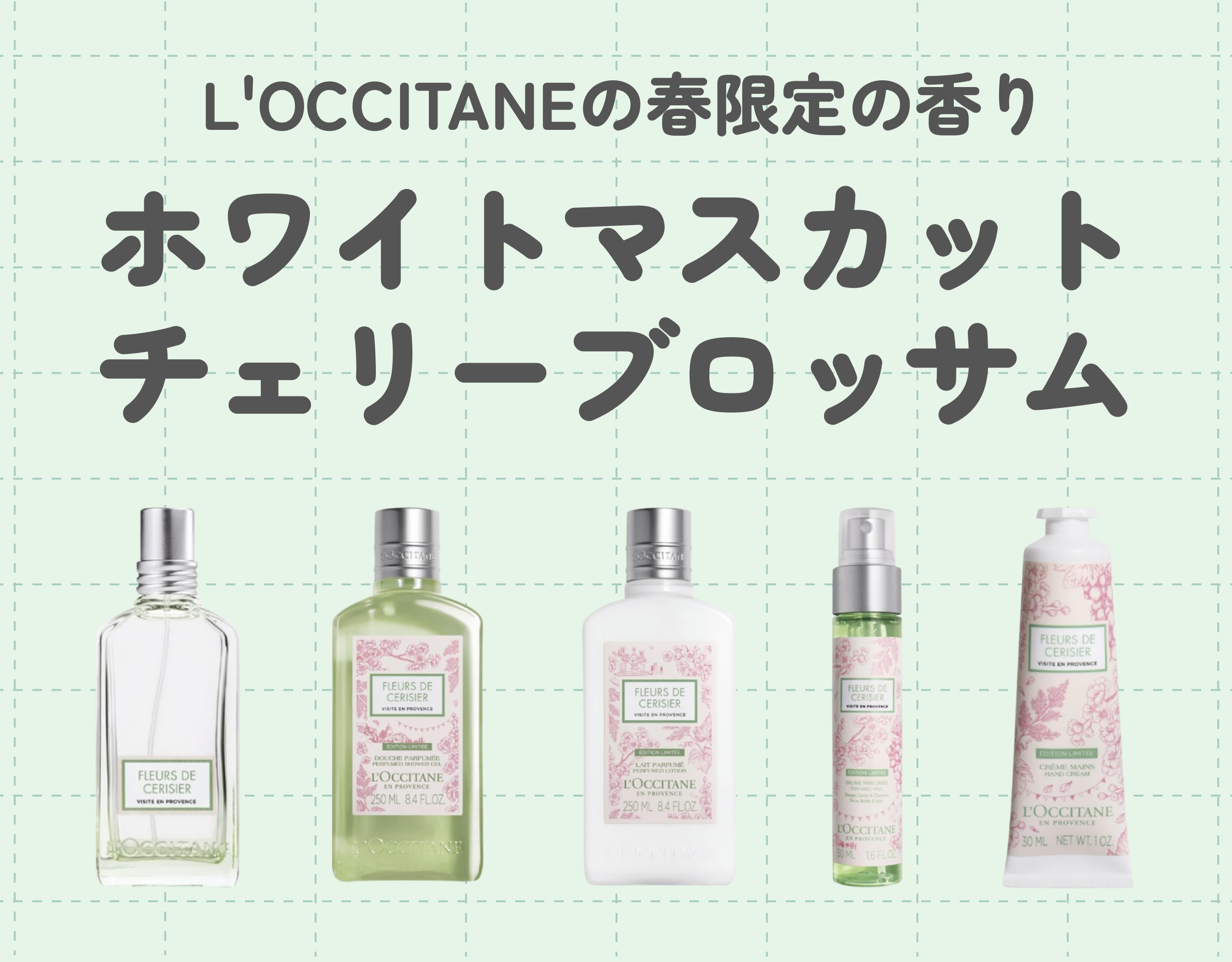 L'OCCITANE（ロクシタン）春限定の香り「ホワイトマスカットチェリーブロッサム」｜マスカットと桜の香りを徹底解説