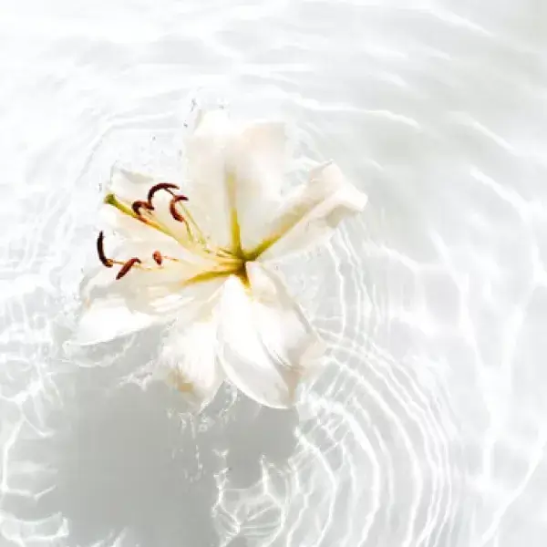 清楚