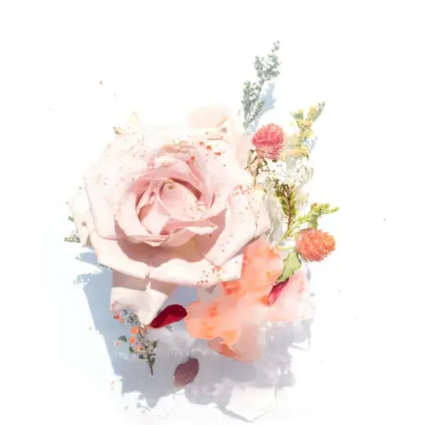 華やか