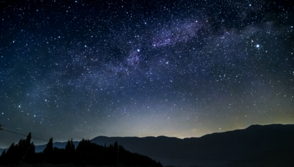 夜や特別な日に映えやすい香り