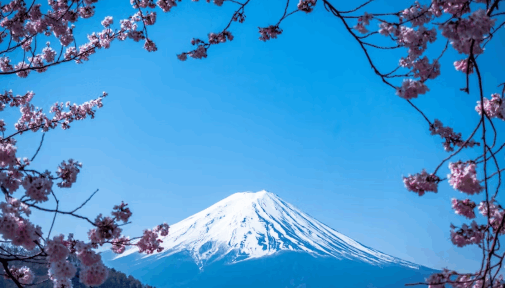 ルラボを愛用する日本の芸能人