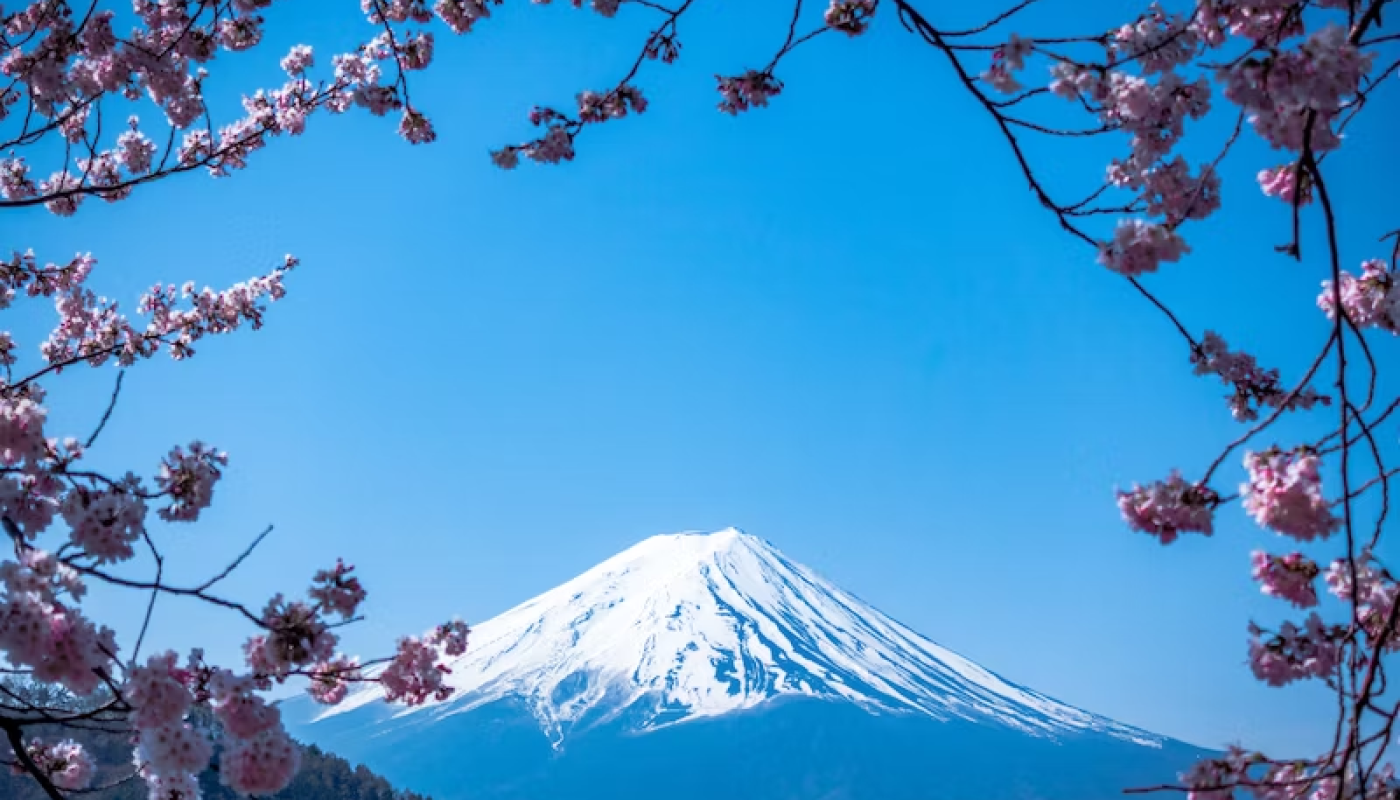 日本の文化的背景に共感