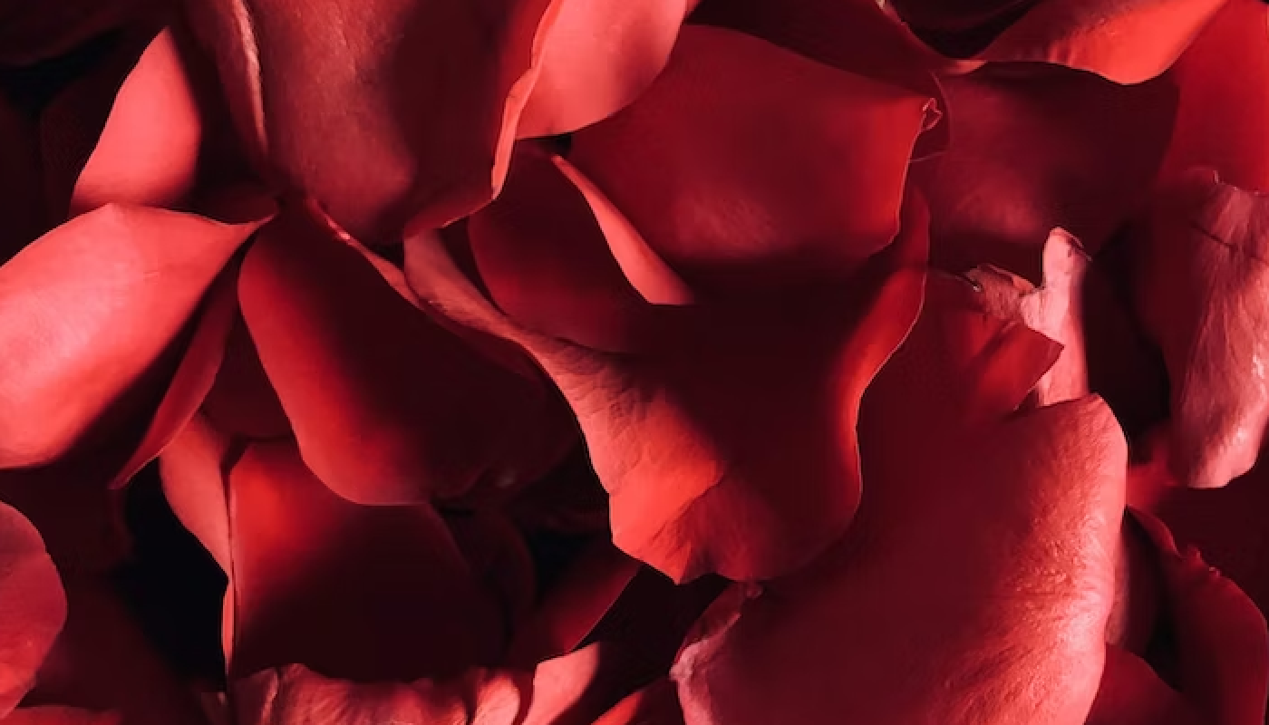 高級ブランドが薔薇の香りを選ぶ理由