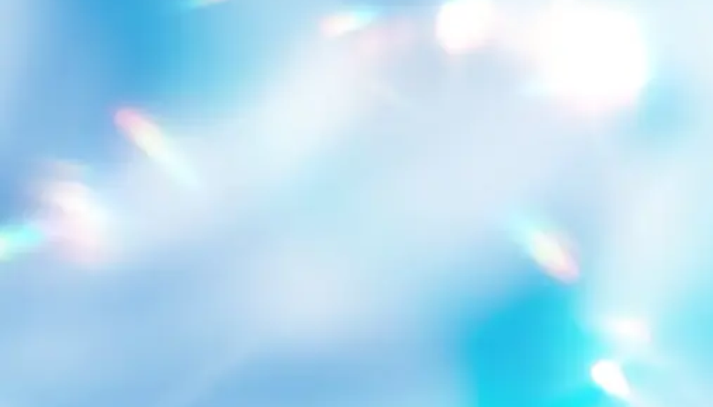キャロライナヘレラ 212の商品紹介
