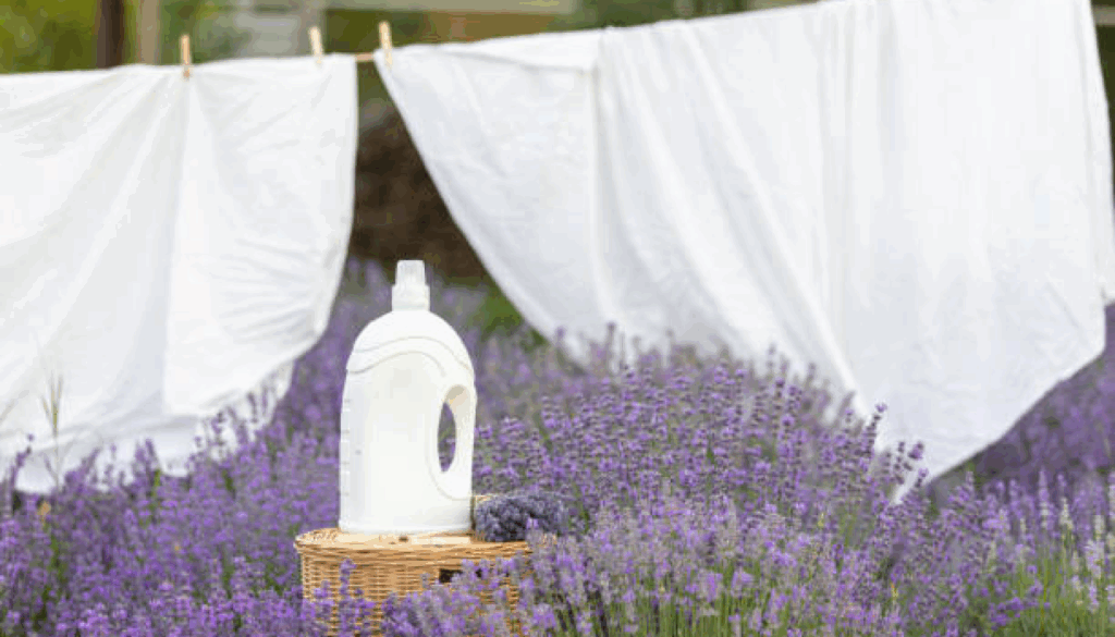 さらさの柔軟剤の香りの魅力とは？