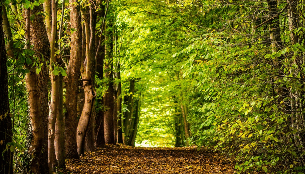 秋冬・春夏の目安
