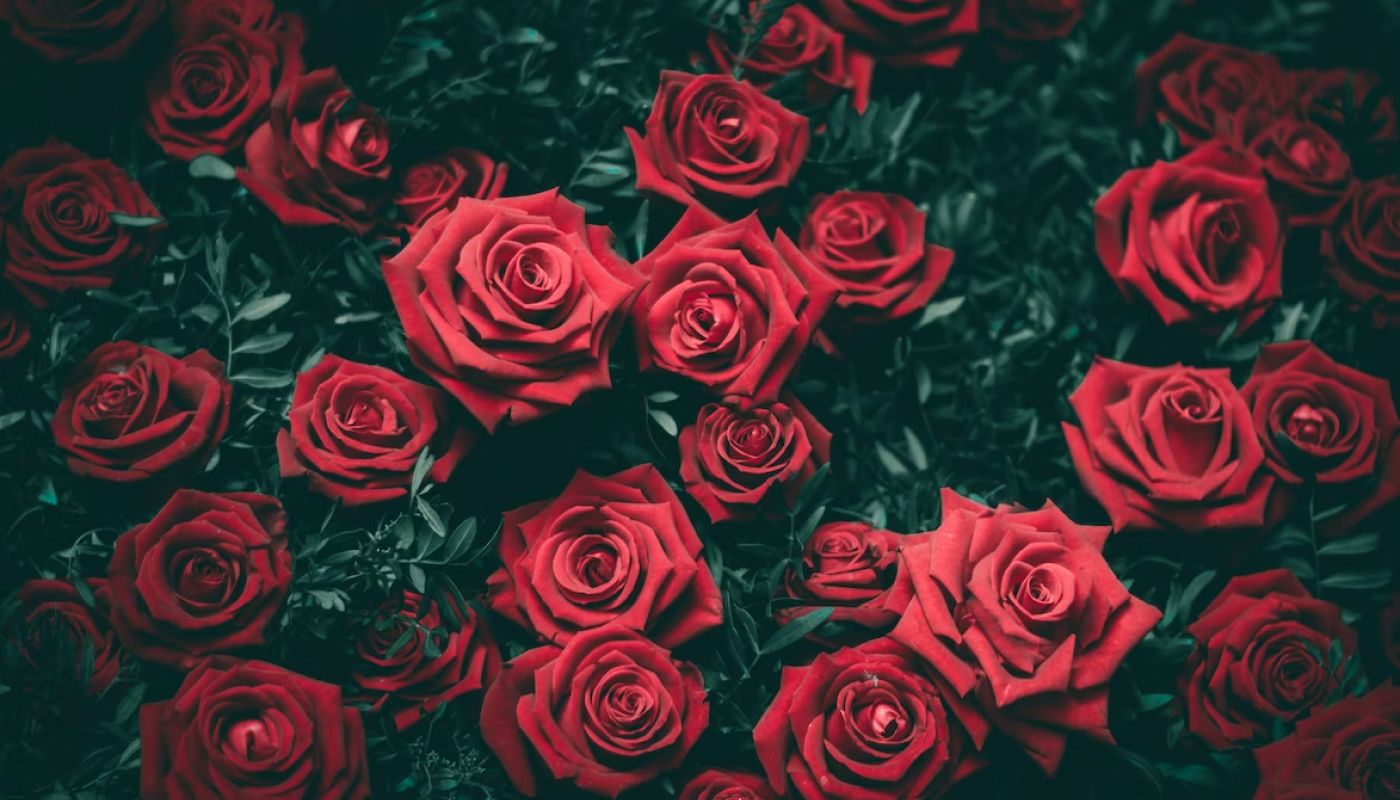 高級ブランドが薔薇の香りを選ぶ理由