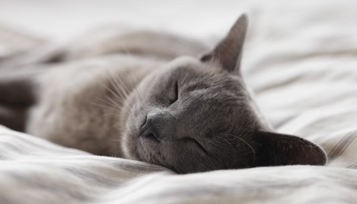 寝香水でよい睡眠を♡