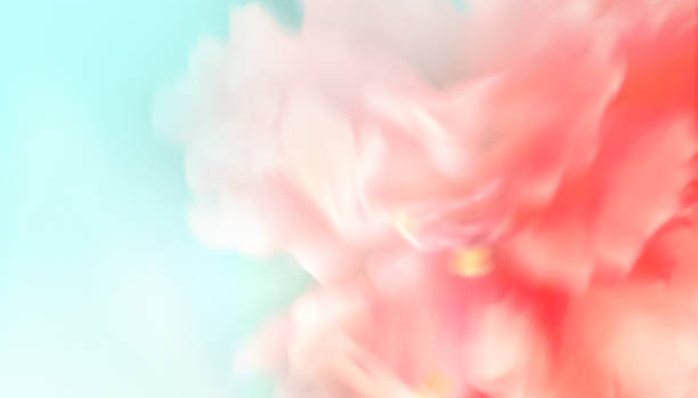 理由①高品質な原料にこだわっている