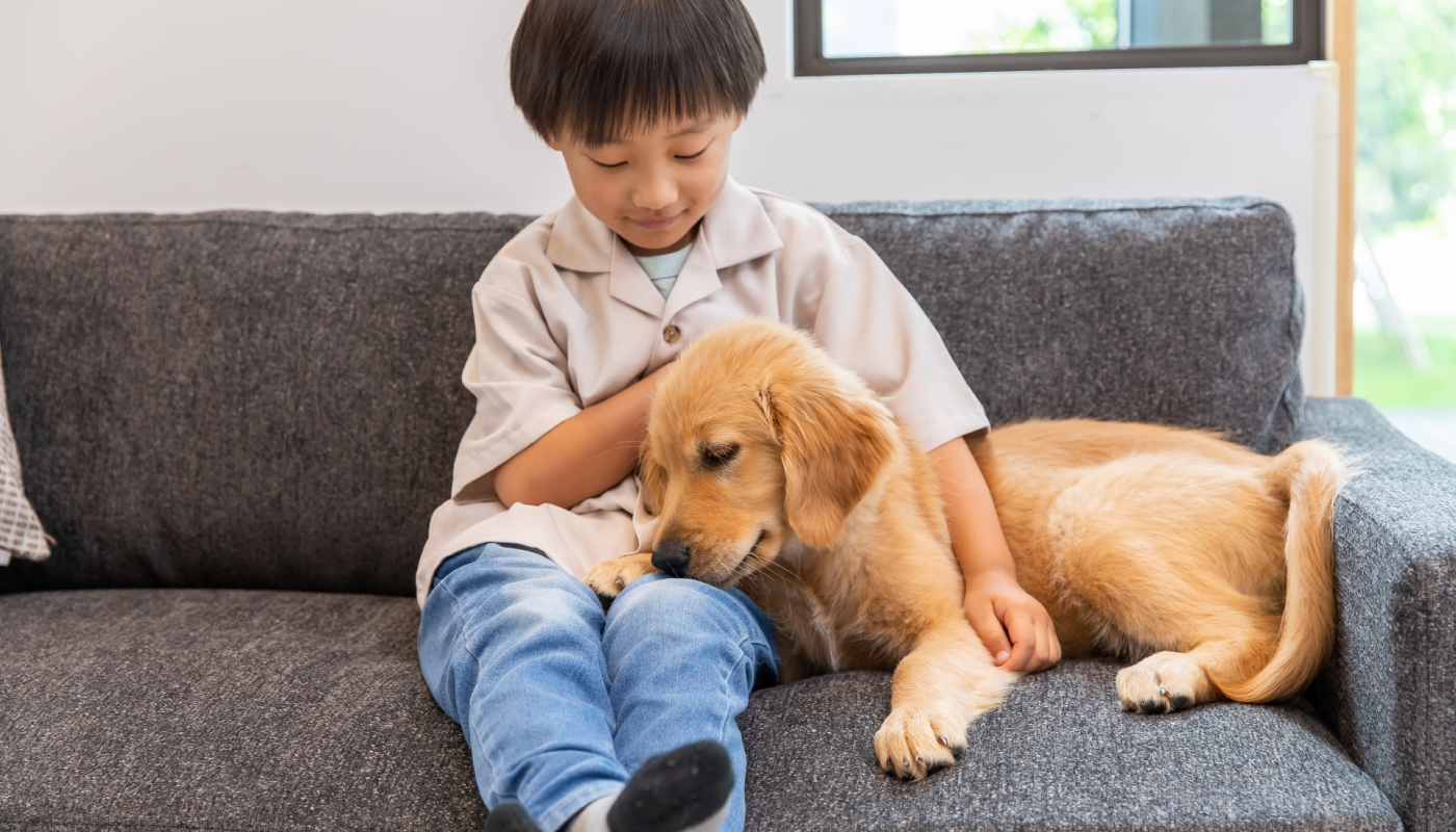 子供やペットの近くに置かない
