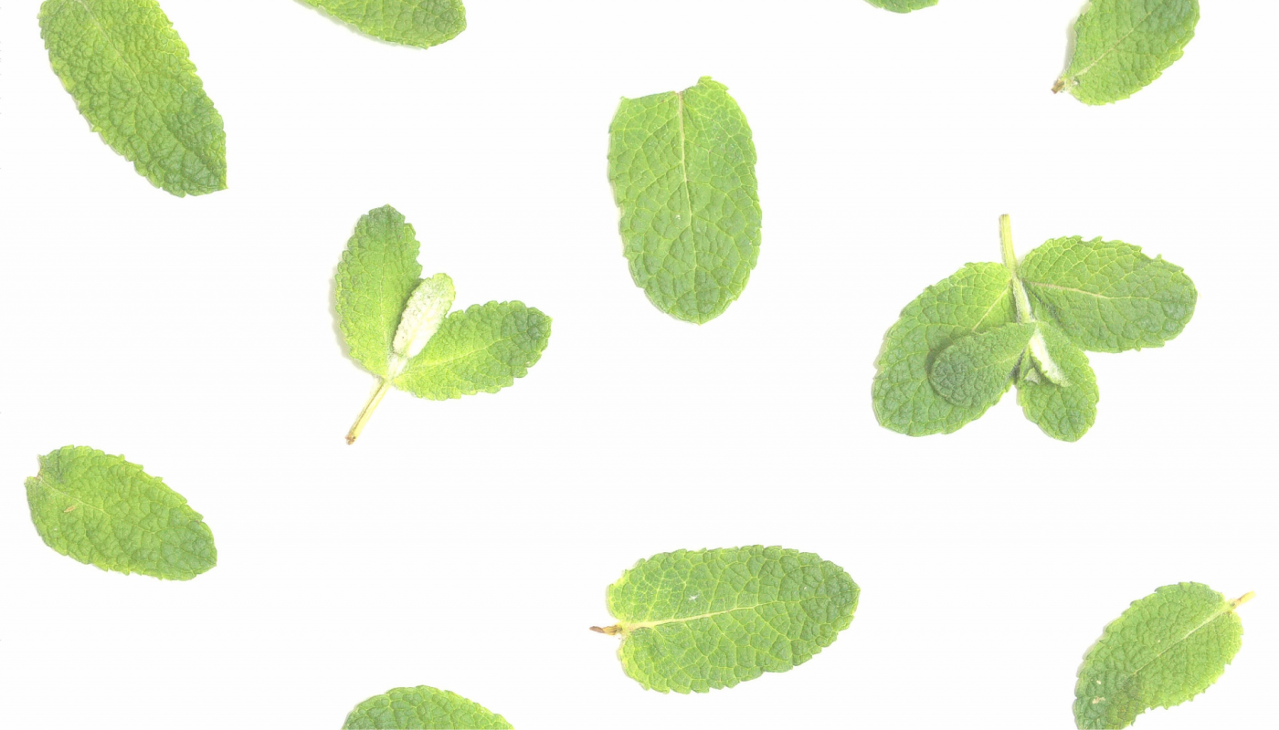 ➁抗菌効果