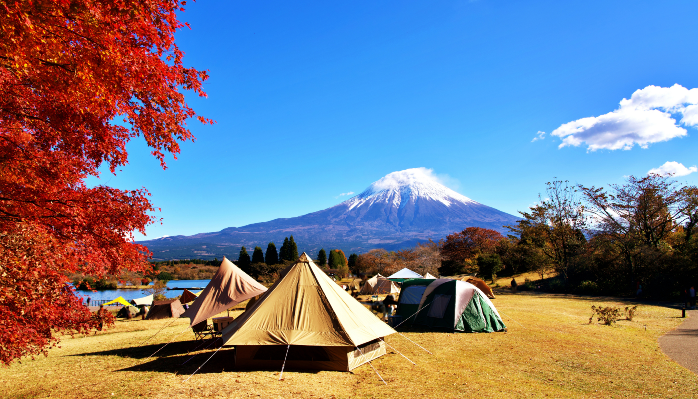 キャンプやアウトドアには【虫よけ効果】があるものを