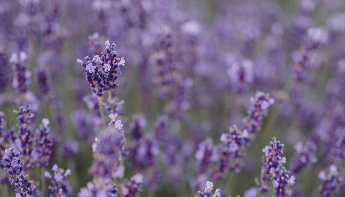 リラックスできる香り