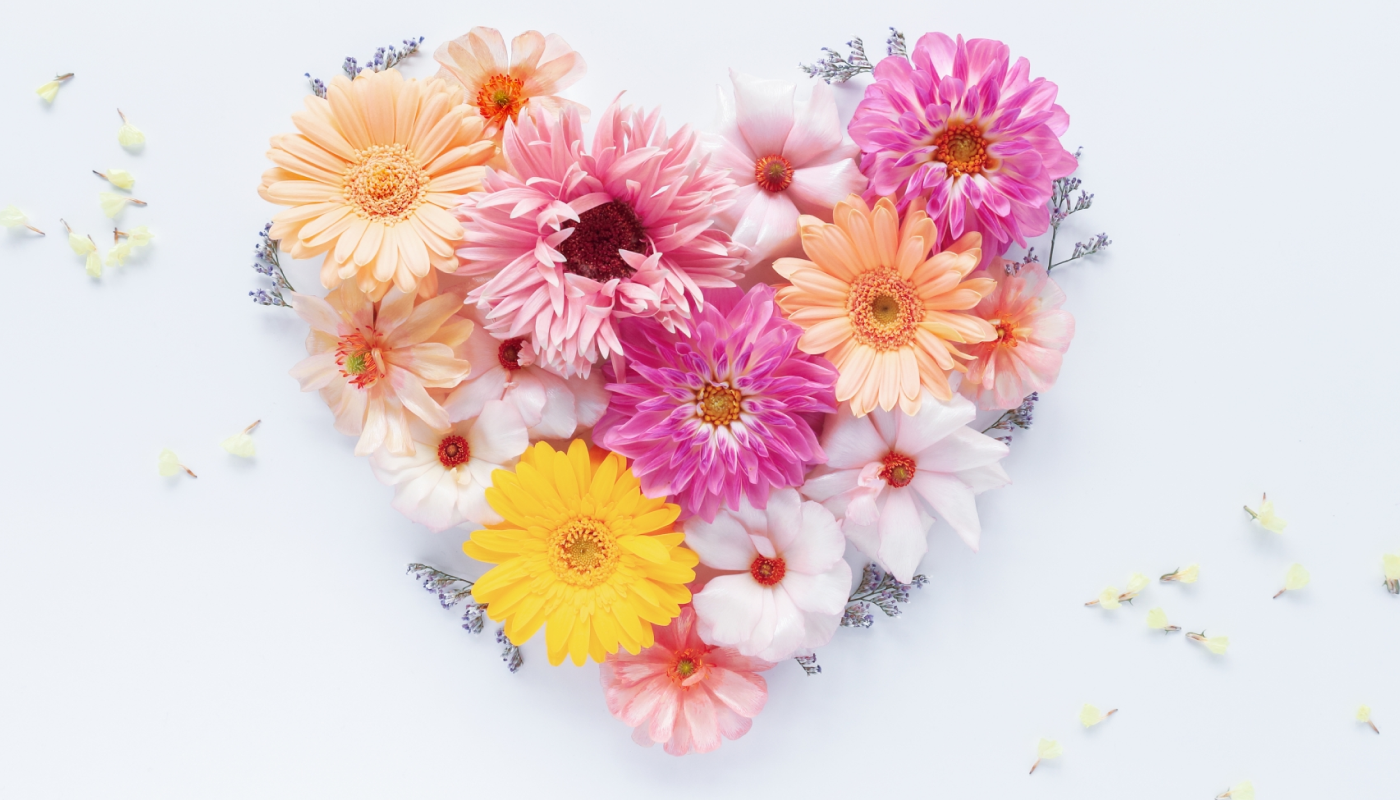 ユニクロの花を長く楽しむためのポイント♪