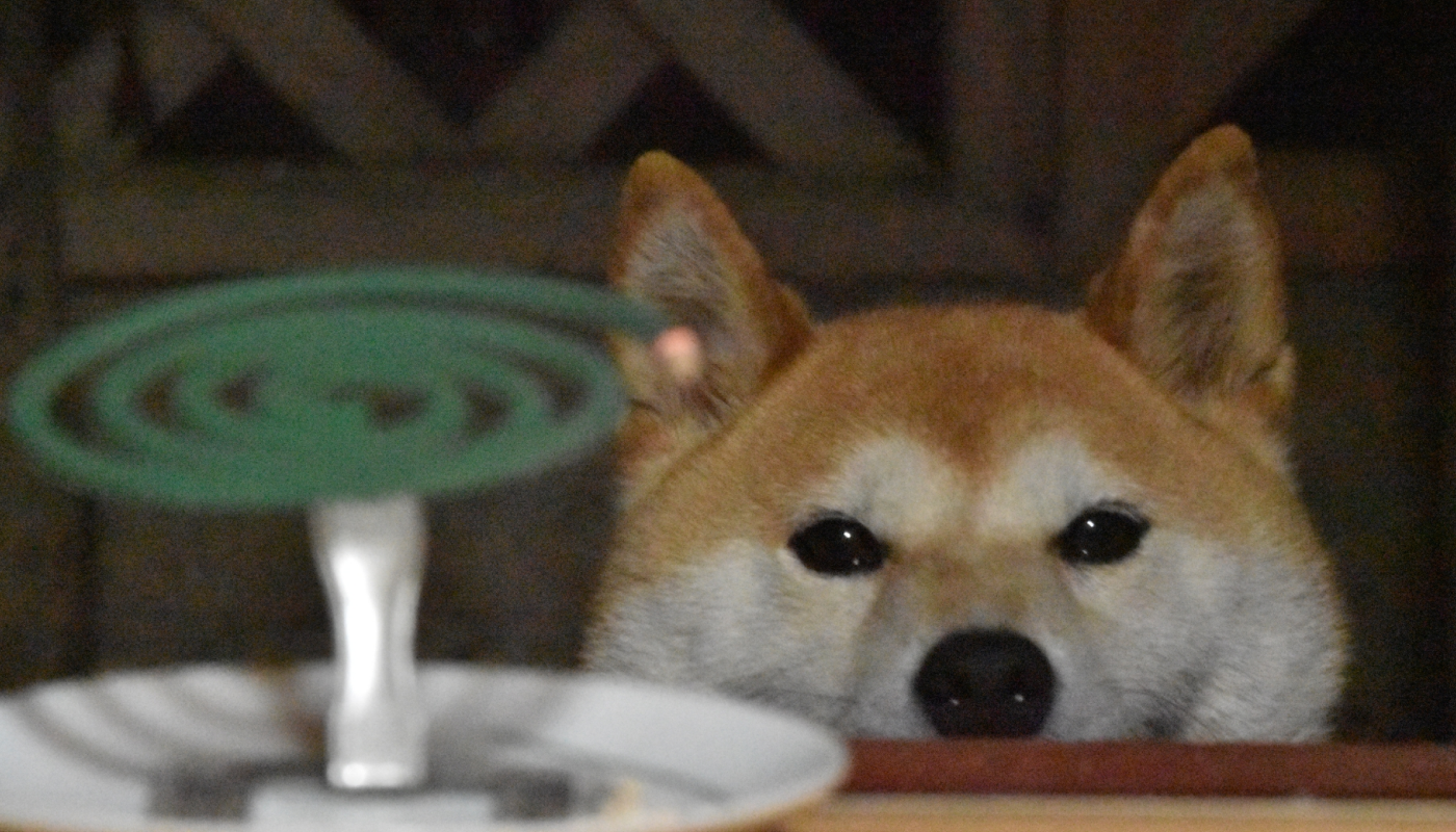 虫よけ効果