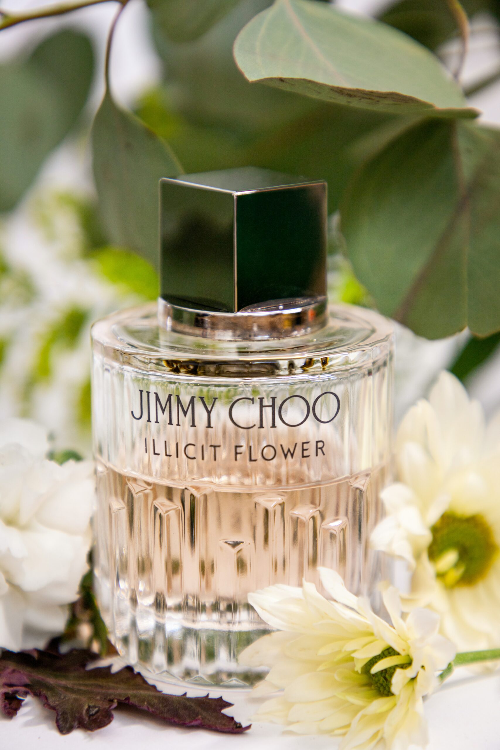 JIMMY CHOO（ジミー チュウ）