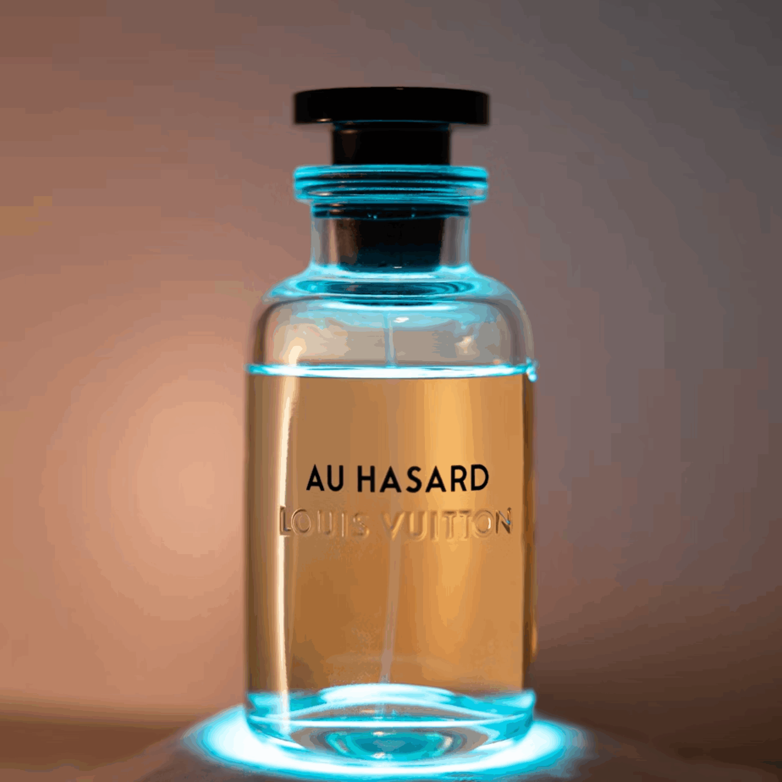 LOUIS VUITTON（ルイ ヴィトン）