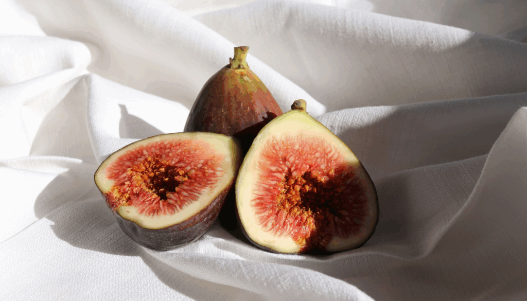 愛用している芸能人