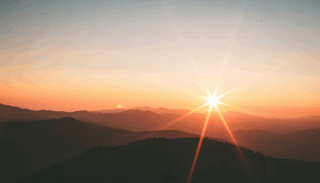 愛用している芸能人