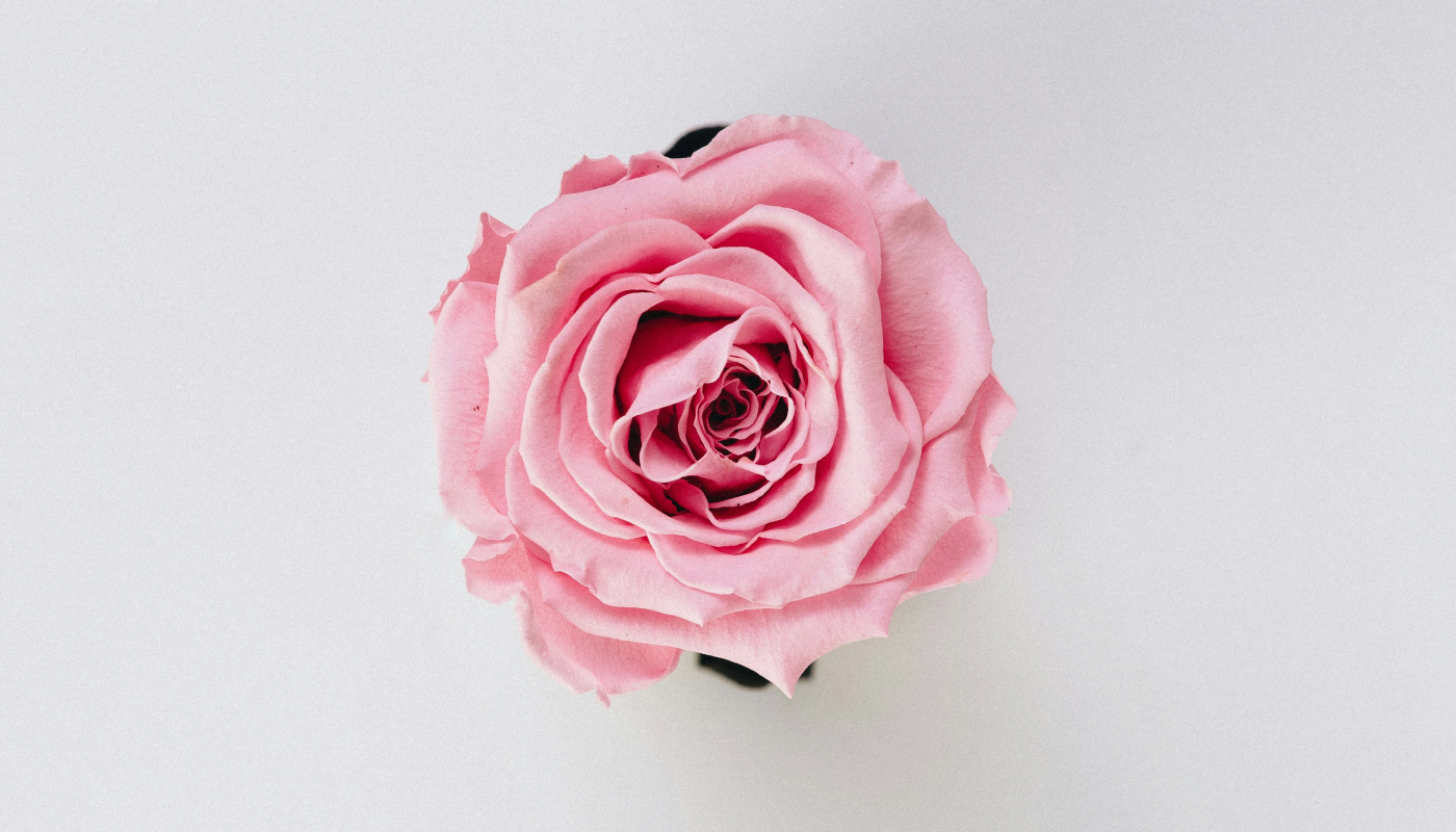 ディプティックの「オーローズ」を愛用している芸能人